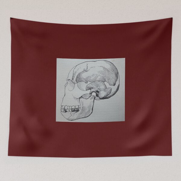 Item preview, Early Human Skull designed and sold by Ian-M-Stevens.