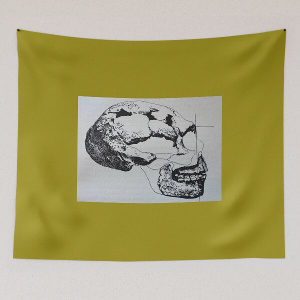 Item preview, Neanderthal Skull designed and sold by Ian-M-Stevens.