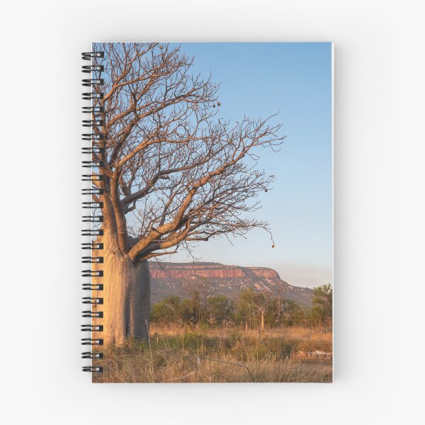 Item preview, A boab tree at sunset designed and sold by Gilmore Photography.