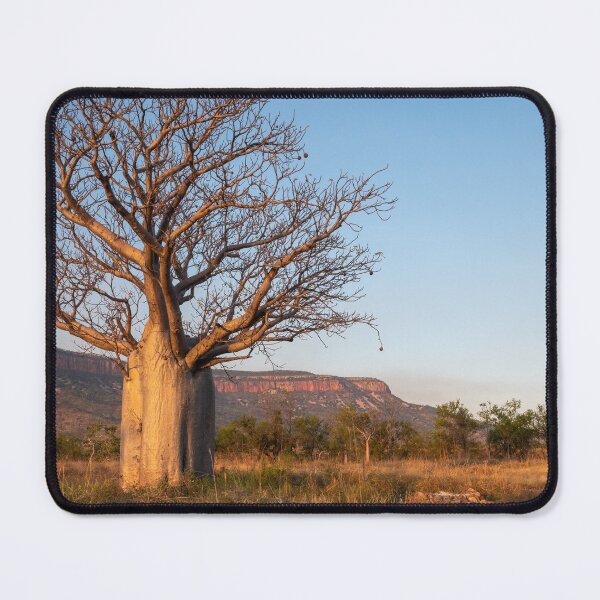 Item preview, A boab tree at sunset designed and sold by Gilmore Photography.