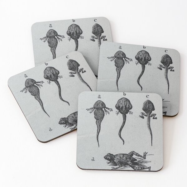 Item preview, Tadpole Development designed and sold by Ian-M-Stevens.