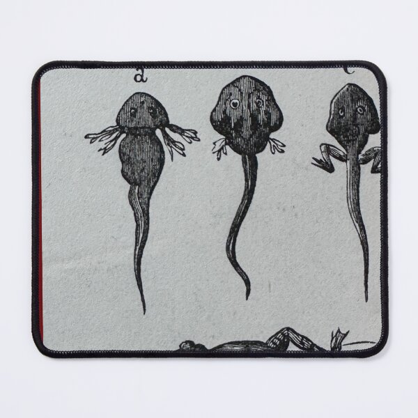 Item preview, Tadpole Development designed and sold by Ian-M-Stevens.