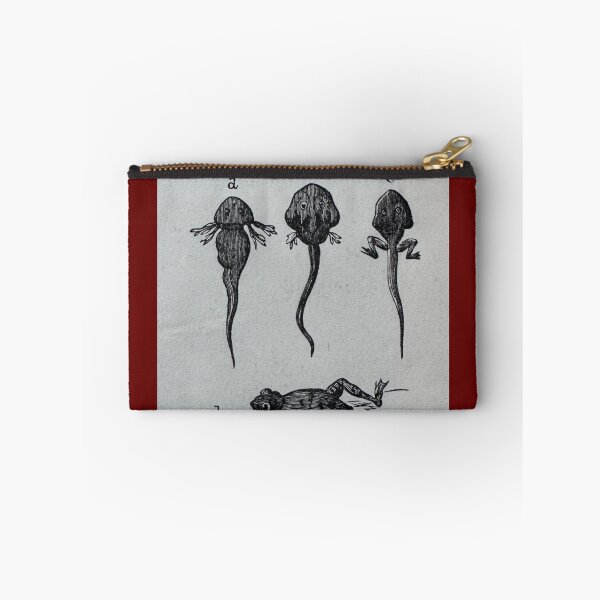Item preview, Tadpole Development designed and sold by Ian-M-Stevens.