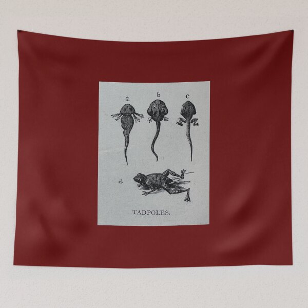 Item preview, Tadpole Development designed and sold by Ian-M-Stevens.
