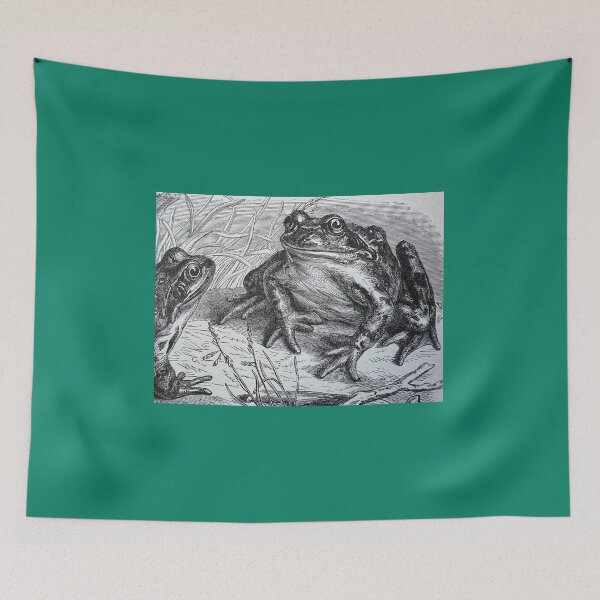 Item preview, Common Frogs designed and sold by Ian-M-Stevens.