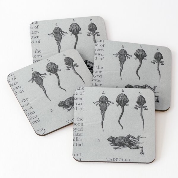 Item preview, Tadpole Development designed and sold by Ian-M-Stevens.