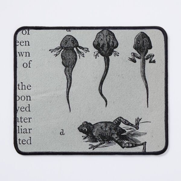Item preview, Tadpole Development designed and sold by Ian-M-Stevens.
