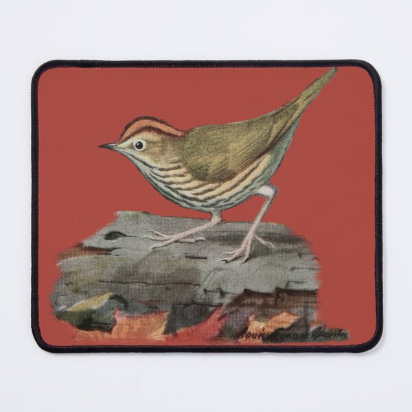 Item preview, Ovenbird by Louis Agassiz Fuertes designed and sold by HiddenWalnuts.