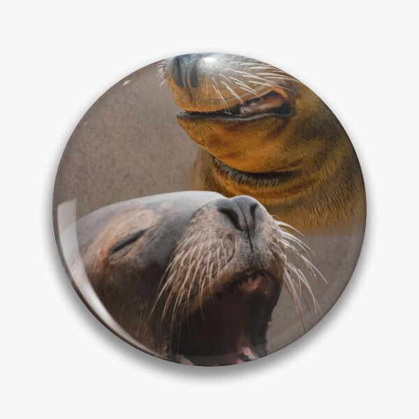 Item preview, Awkward 70s/80s Retro Sea Lion Photography designed and sold by tissueissues.