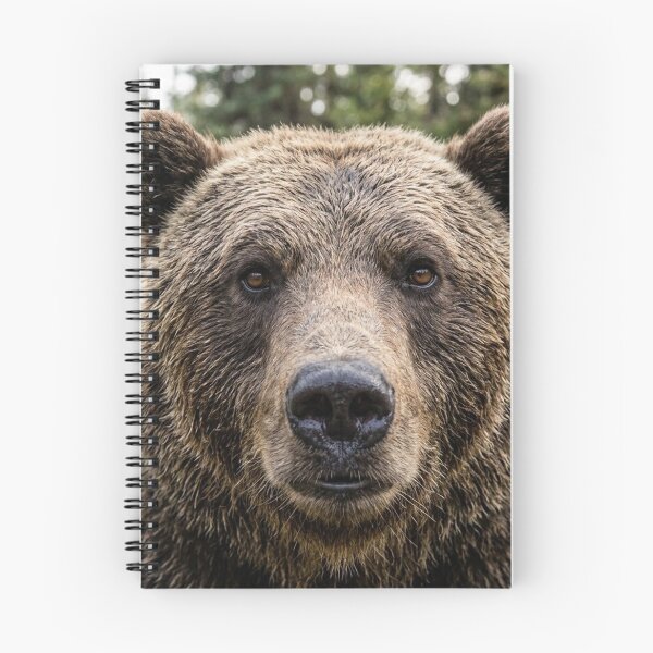 Item preview, Bear face designed and sold by Stevercortinas.