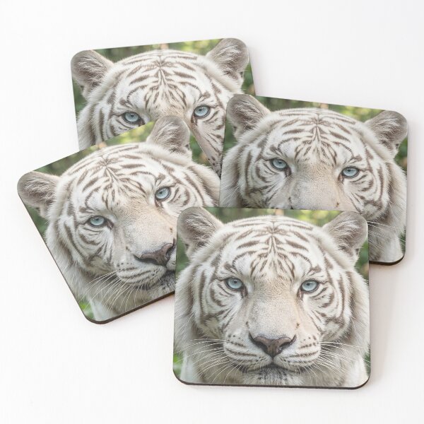 Item preview, White tiger designed and sold by Stevercortinas.