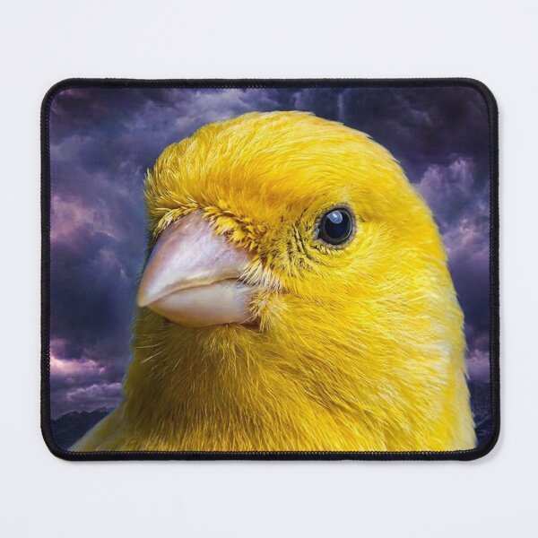 Item preview, Yellow canary face designed and sold by Stevercortinas.