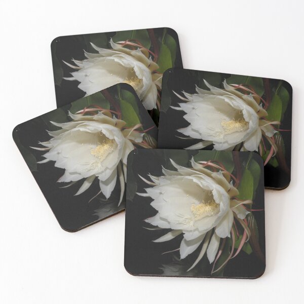 Item preview, Tan Hua flowers crazy rich asians designed and sold by jacyf02.