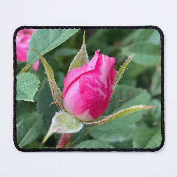 Item preview, Rosebud  designed and sold by Abeink1030.