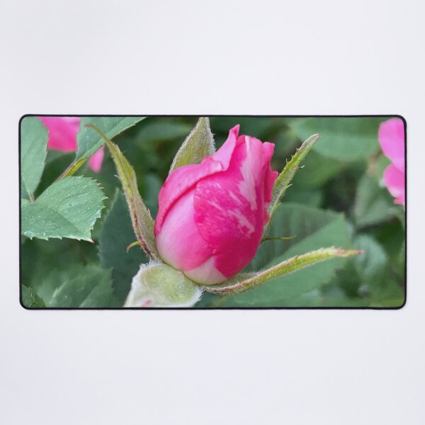 Item preview, Rosebud designed and sold by Abeink1030.