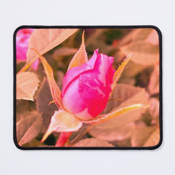 Item preview, Rosebud 2 designed and sold by Abeink1030.