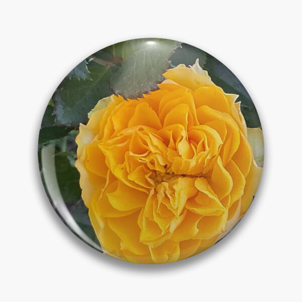 Item preview, Yellow Rose designed and sold by Abeink1030.