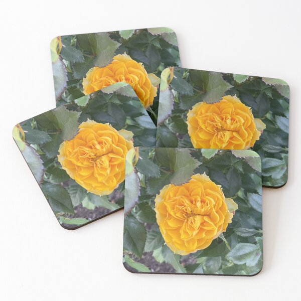 Item preview, Yellow Rose designed and sold by Abeink1030.