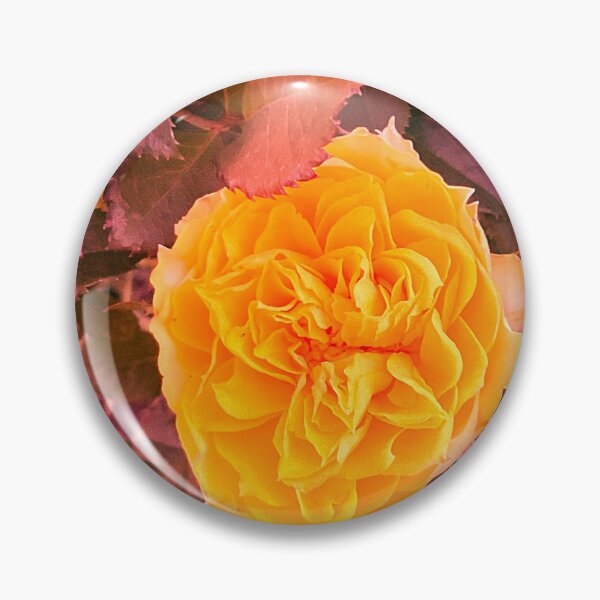Item preview, Yellow Rose 2 designed and sold by Abeink1030.