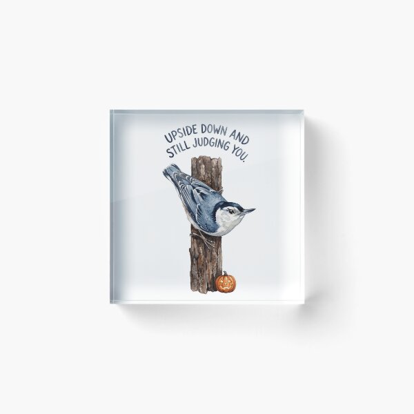 Item preview, Upside Down Nuthatch designed and sold by Tiffany Roy.