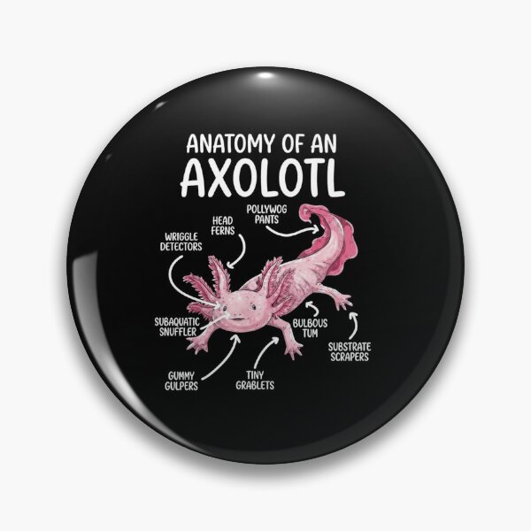 Item preview, Anatomy of an Axolotl Funny Amphibian Diagram Design designed and sold by MiALopezArt.