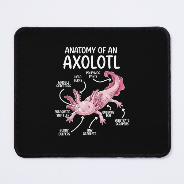 Item preview, Anatomy of an Axolotl Funny Amphibian Diagram Design designed and sold by MiALopezArt.