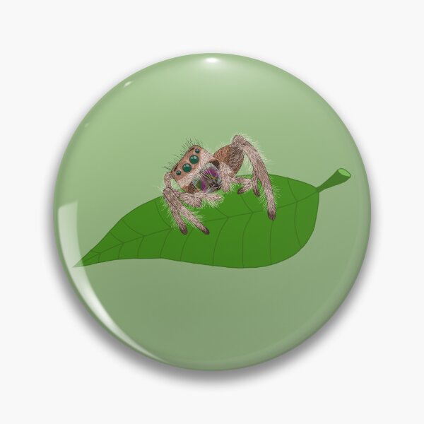 Item preview, Jumping Spider designed and sold by Winnie’s Artwork.
