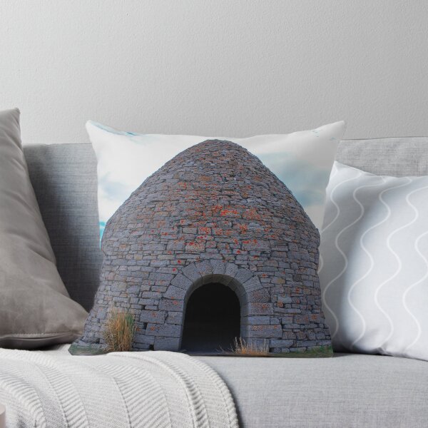 Aperçu de l'œuvre Ward Charcoal Oven créée et vendue par tarabottrill.