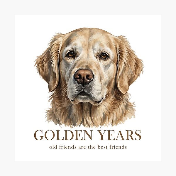 Item preview, Golden Years Shirt – Senior Golden Retriever Old Friends Dog Tee designed and sold by Koning7.