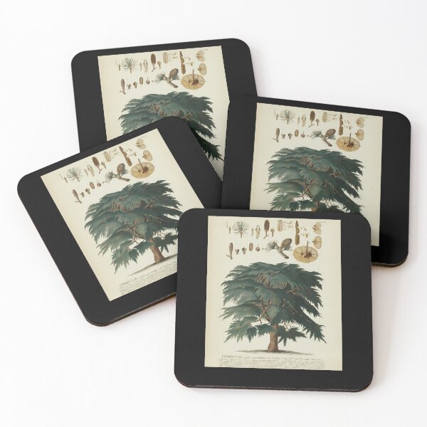 Item preview, Cedar-Tree.-Botanical-Study designed and sold by jettasha.