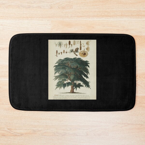 Item preview, Cedar-Tree.-Botanical-Study designed and sold by jettasha.
