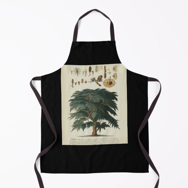 Item preview, Cedar-Tree.-Botanical-Study designed and sold by jettasha.