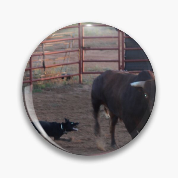 Item preview, Working Dog vs Bull — Cattle Dog in the Pen, Ranch Action Photography, Western Wall Art designed and sold by StayHooked.
