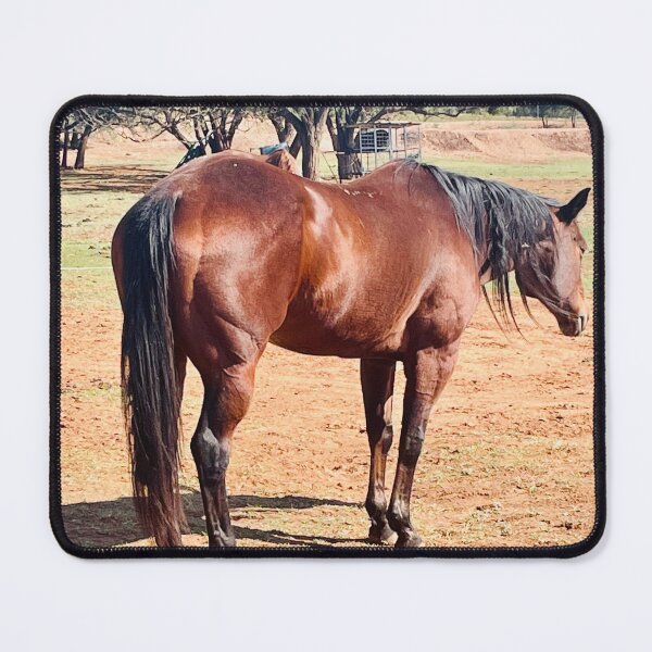 Item preview, Bay Horse in the Mesquite Pasture — Quarter Horse Photography, Western Ranch Wall Art, Horse Lover Gift designed and sold by StayHooked.