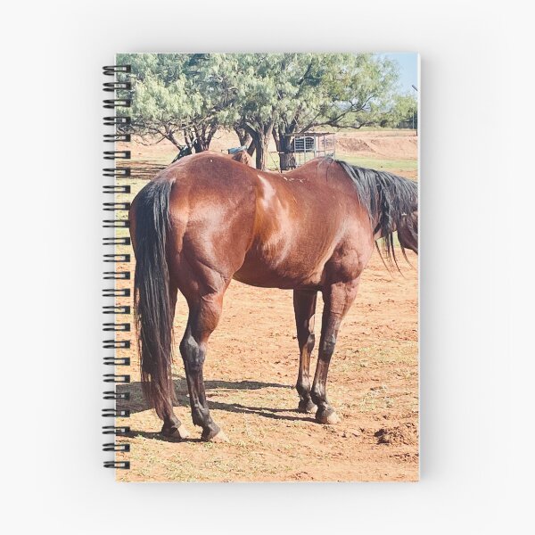 Item preview, Bay Horse in the Mesquite Pasture — Quarter Horse Photography, Western Ranch Wall Art, Horse Lover Gift designed and sold by StayHooked.