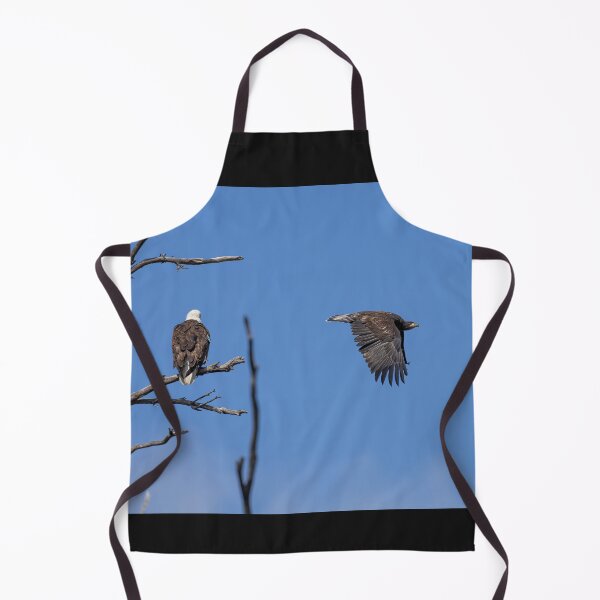 Item preview, Juvenile Bald Eagle Ventures Out designed and sold by PsychoAlien.com.