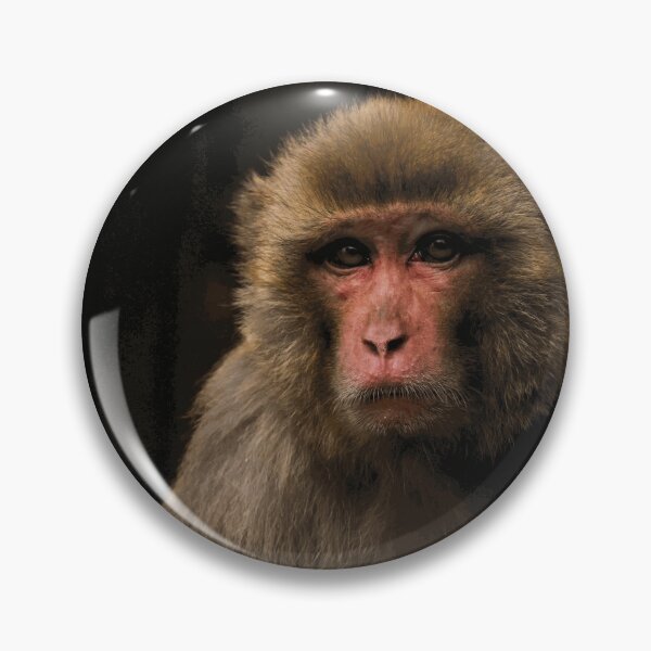 Item preview, Rhesus Macaque Portrait in Shadow designed and sold by SilvanMeier.