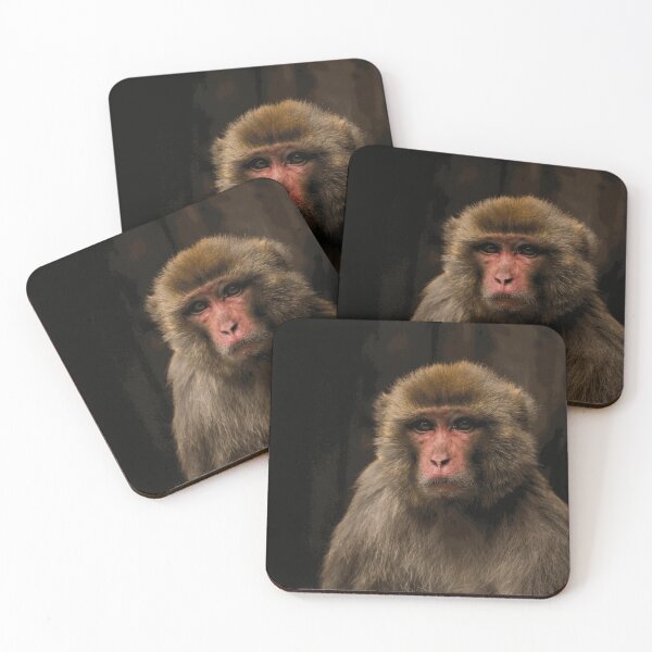 Item preview, Rhesus Macaque Portrait in Shadow designed and sold by SilvanMeier.