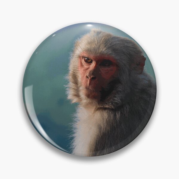 Item preview, Rhesus Macaque in Natural Light designed and sold by SilvanMeier.