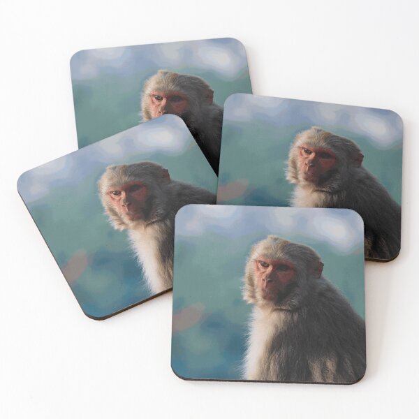 Item preview, Rhesus Macaque in Natural Light designed and sold by SilvanMeier.