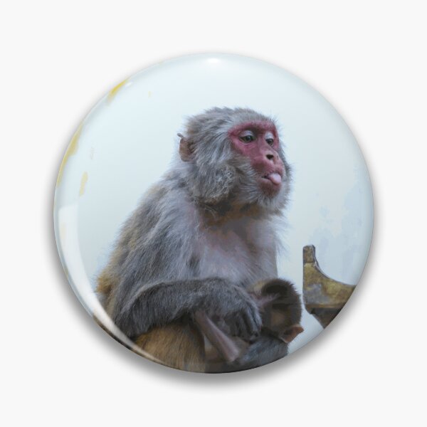 Item preview, Mother Monkey Holding Her Baby designed and sold by SilvanMeier.