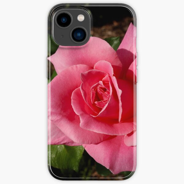 iPhone 14 - Soft