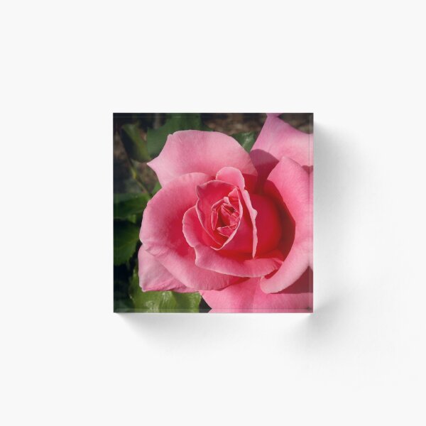 Acrylic Block