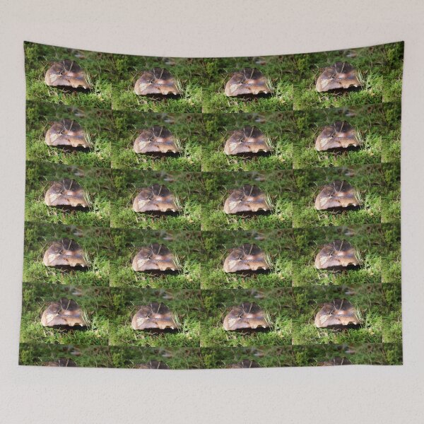 Item preview, fungi designed and sold by KathleenDawson.