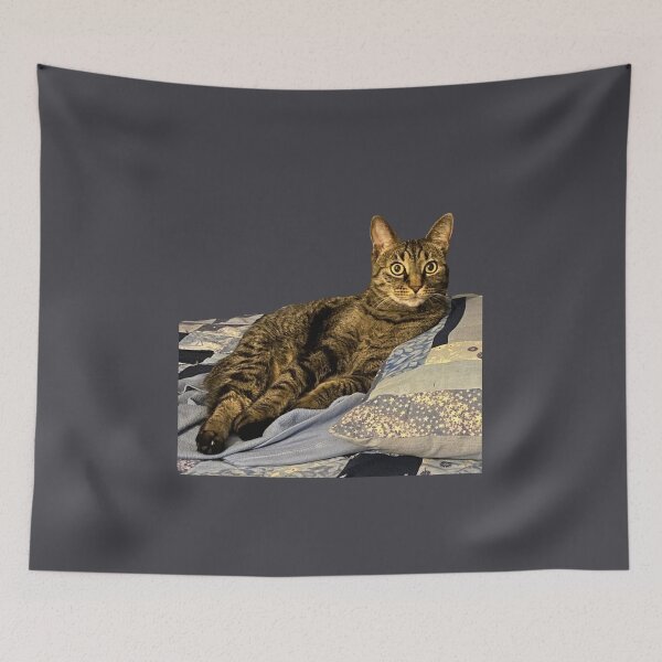Item preview, Wide Eyed Tabby  designed and sold by Amanda1775.