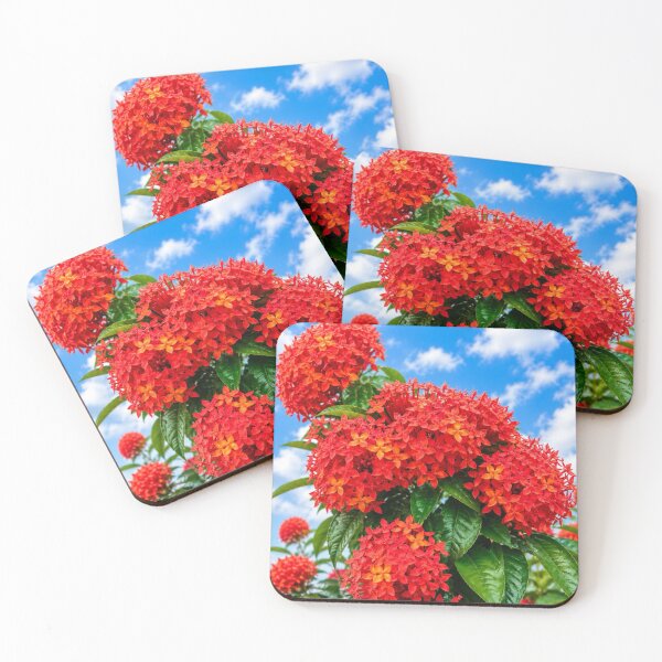 Item preview, Natural Kitchen Goodness designed and sold by Federicadaoffa.