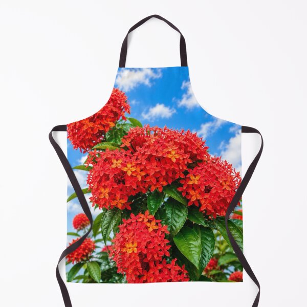Item preview, Natural Kitchen Goodness designed and sold by Federicadaoffa.