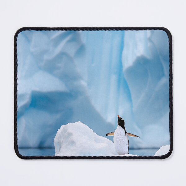 Item preview, Pelican Wildlife Portrait designed and sold by Simkfoth.