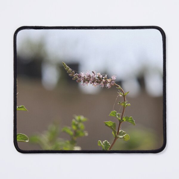 Item preview, Mint branch in sunset colours designed and sold by joephotographr.