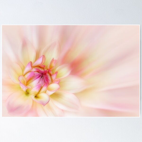 Item preview, Dahlia designed and sold by Creative by Design.